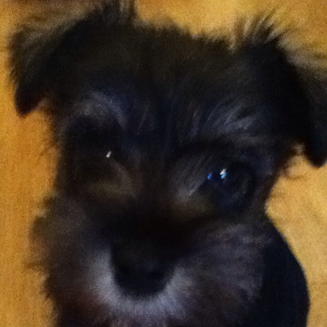 meglou14's profile picture. 