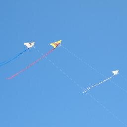 peewit's profile picture. 