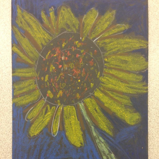 Wondering_Ones's profile picture. 