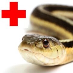 First Aid Kits and supplies for travellers, adventurers and outdoor enthusiasts.