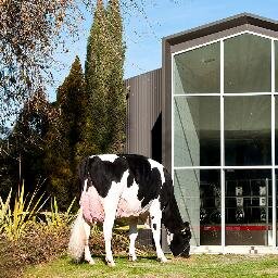 In milk we trust