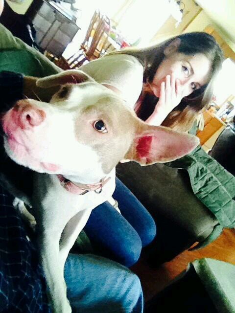 dijurido's profile picture. Upstate NY girl living in a NYC world. (2012-2023) Now a mile high ☀️🏔️