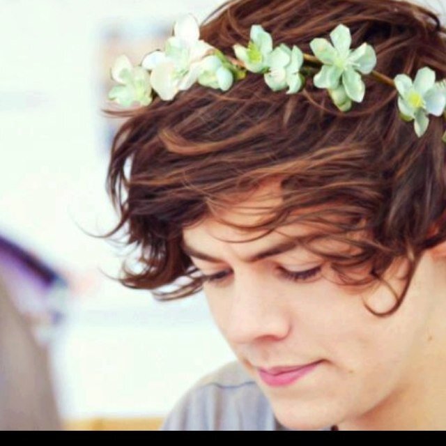 Follow @buttocksoflouis and ask her for follow back she want new people in her TL