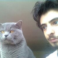 Zeki Hayran (@zekihayran) 's Twitter Profile