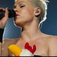 Rudolf The Chicken (@rudolf_mcclucky) 's Twitter Profile