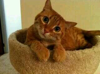 BrendaFM9's profile picture. 