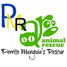 Perritomunguia's Rescue is a 501 (c) (3) non-profit  #46-2988826  organization   non kill  no turn down breed working to end the suffering of animals