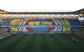 Sonsuza Dek Fenerbahçe