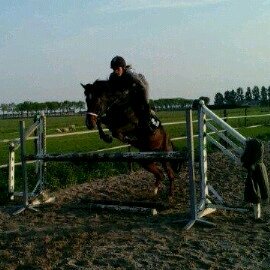 ♡hou van me zusjes i'll always be there voor jullieeee @ilonavdheuvel @kayleyvdheuvel ♡ ♡love my  #horselife #mxlife ♡ love me lievee zussjess  ♡