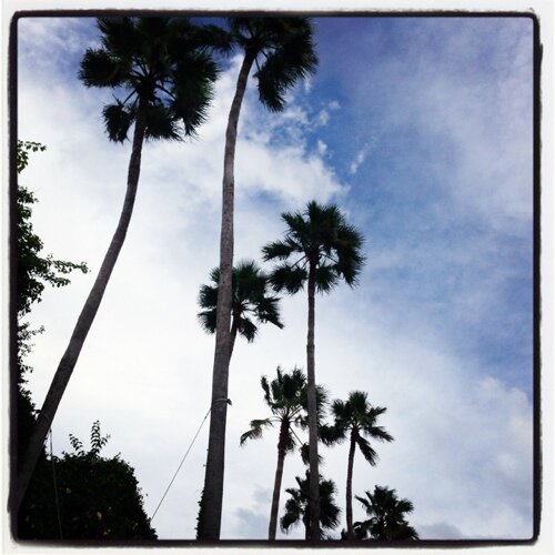 jasonloupis's profile picture. 