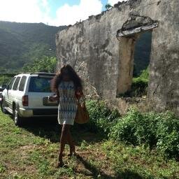 Visionary that wants a pool with a grotto..