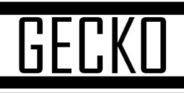 New Skimboard brand! Contact me on here or at my email for any orders: geckoskimboards@gmail.com Website should be up soon! Boards, Clothes & Accessories!