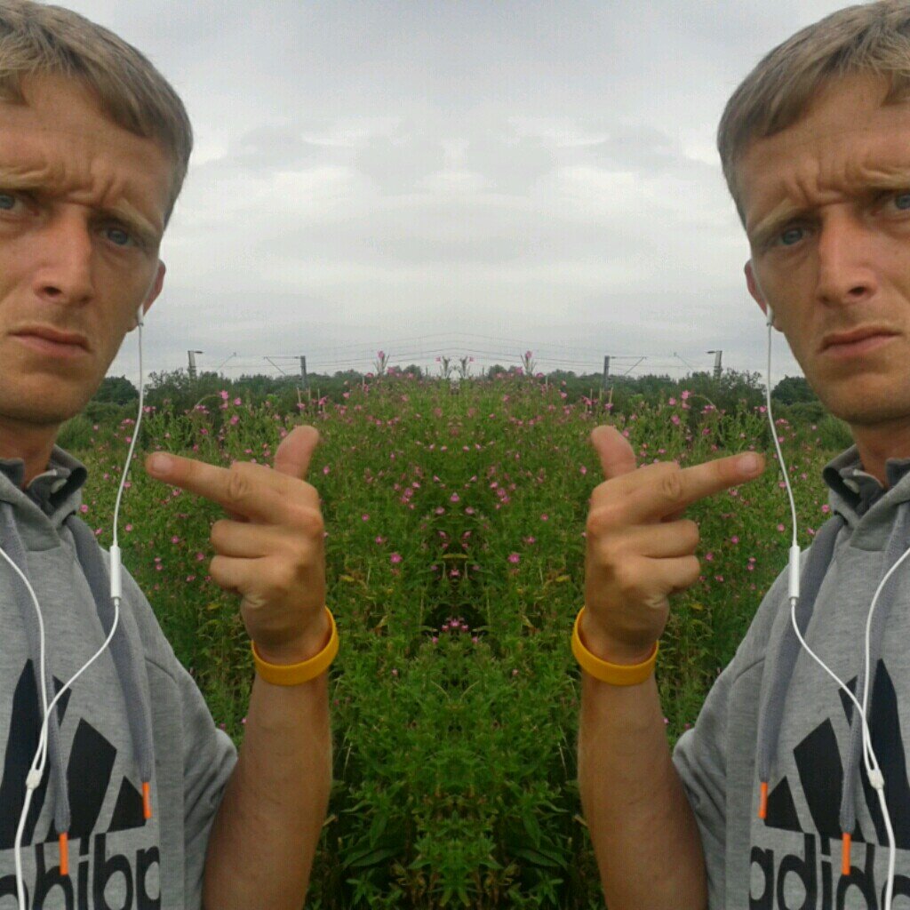 malloylowe's profile picture. 