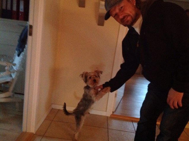 mulvadim's profile picture. 