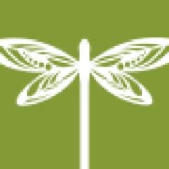 Our natural herbal infusions support the body's innate ability to cleanse and heal itself. Everything is possible!