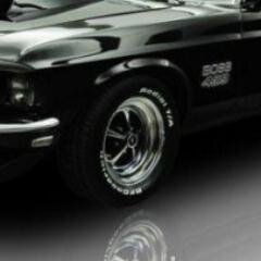 Classic Car Enthusiast, Dog Lover