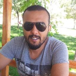 Software Developer