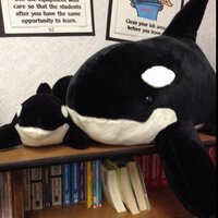 Mrs. Langlais (@mrslanglais) 's Twitter Profile Photo