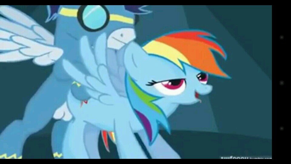 17 brony/pagasister!  :3 (Female) (ponyville) #clop #mlp