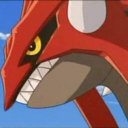 Groudon is my name. My Trainer is @Legend_Trainer_ and my moves are Eruption, SolorBeam, Fissure, and Bulk-up.Brother: @Groudon_Legend. #Bi #Single #male