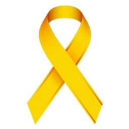 Army4CancerKids's profile picture. Childhood cancer is the number one disease killer in children.
There is not enough funding and awareness. We can change this.
In honor of @rockstarronan