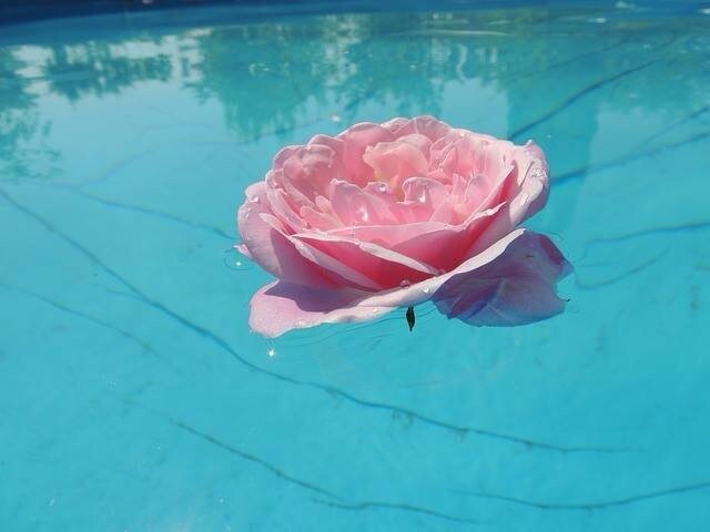 LILISPOL's profile picture. 🌟𝟏𝟖+𝐋𝐞𝐭'𝐬 𝐑𝐞𝐥𝐚𝐱 & 𝐄𝐧𝐣𝐨𝐲. Follow more:🌟 
@cognisancetzx
@inchoatingszx
@DarrickDurden
@danie3456joy