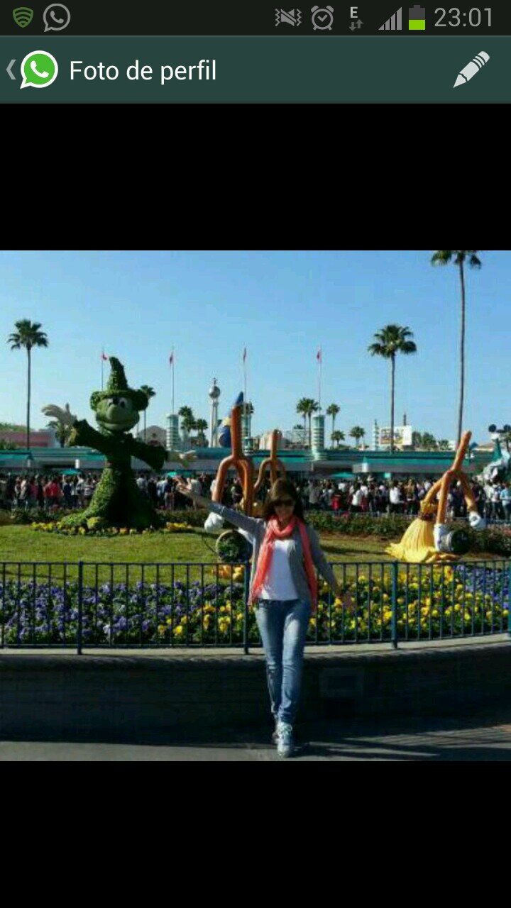 CarolWenninger's profile picture. Ing. Ambiental