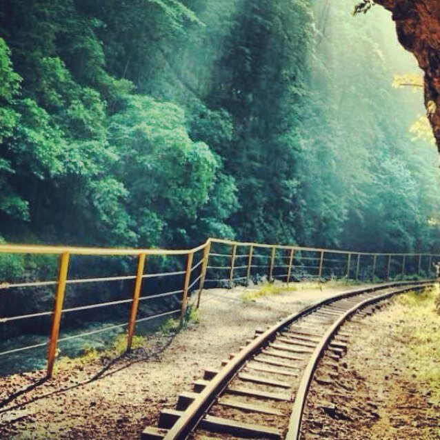 Maajoor_90's profile picture. 