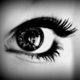 twitter oficial the _3lisA