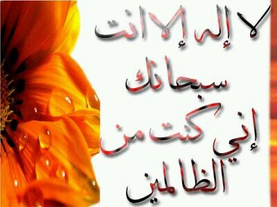 أسال الله رضاه ثم رضا والديني، وأسال الله أن يستعيد للامة عزها بالدين وكرمتها بالنصر. ولي هدف يعانق نجوم السماء أسال الله أن يحققه.
