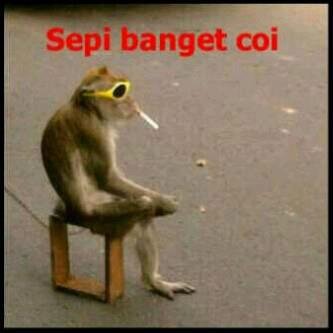 No coment