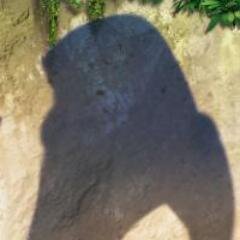 TinyKnuckles's profile picture. help me find the emeralds