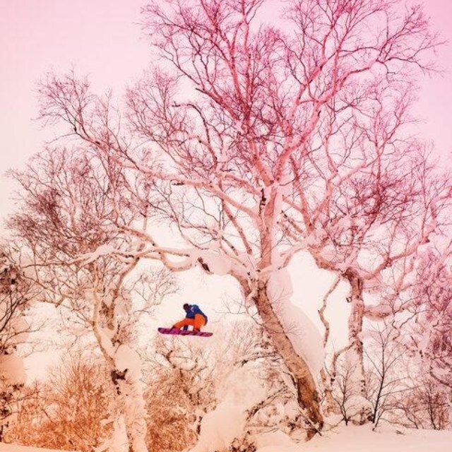 Make me cringe by looking at snow