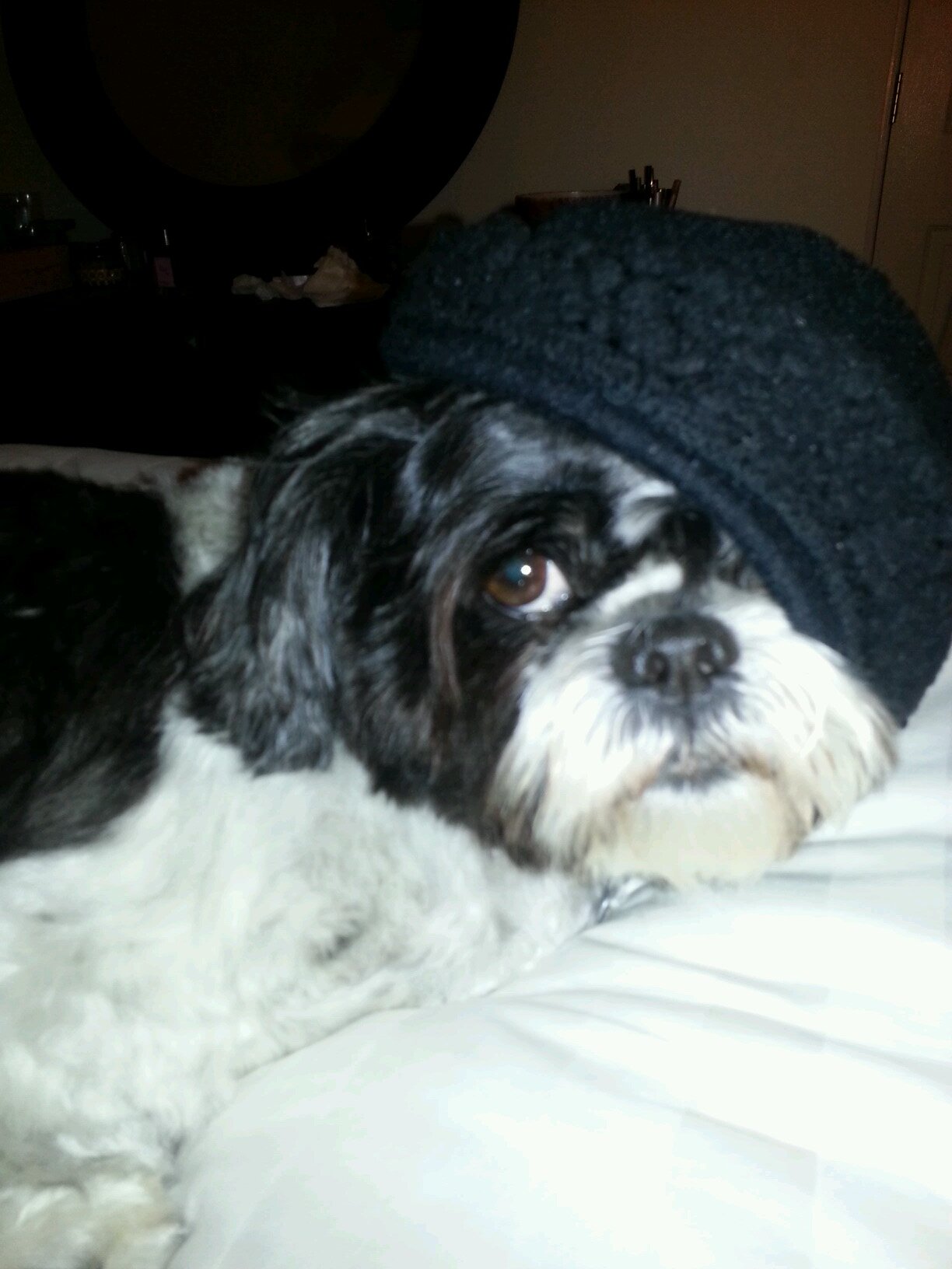 fitchick2013's profile picture. 