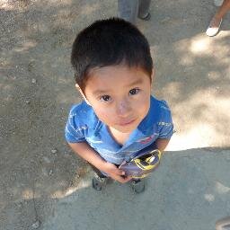 VolunteerOaxaca's profile picture. A comprehensive directory of non-profits in Oaxaca looking for volunteers. Made by volunteers for volunteers!