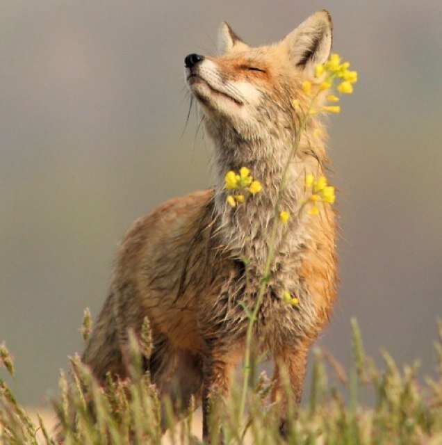 CoyoteUgly_8's profile picture. 