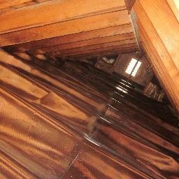 ess_conardadam's profile picture. 