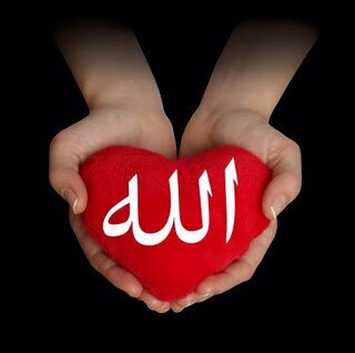 لأن الدنيا فانية ولاننا راحلون ..يجب ان نعّمل عملاً يوصلوننا الى موطننا الاصلي ..(الجنة )$$ اللهم اجعل هذا الحساب حُجةً لنا لاعلينا **