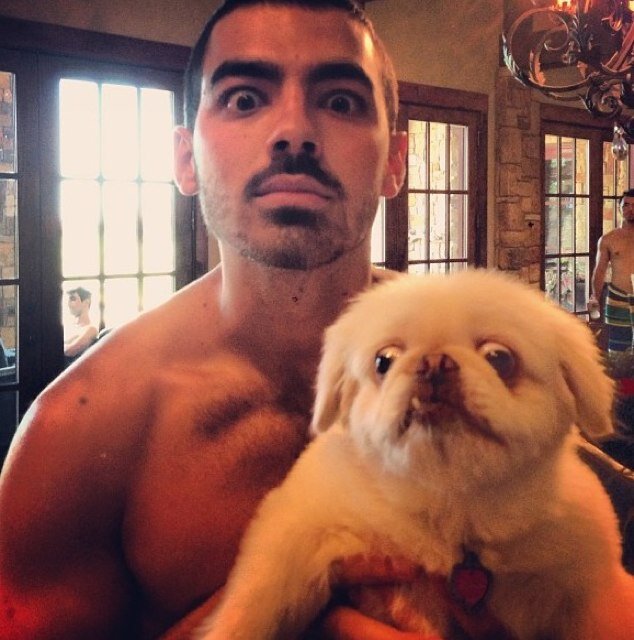 joe dangerous