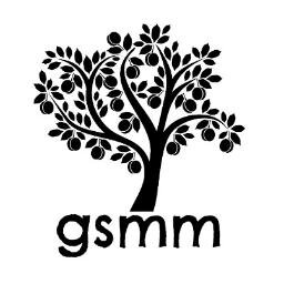 #GSMM is made up of influential bloggers (men and women) who support each other, bring recognition to our community, provide opportunities and host events.