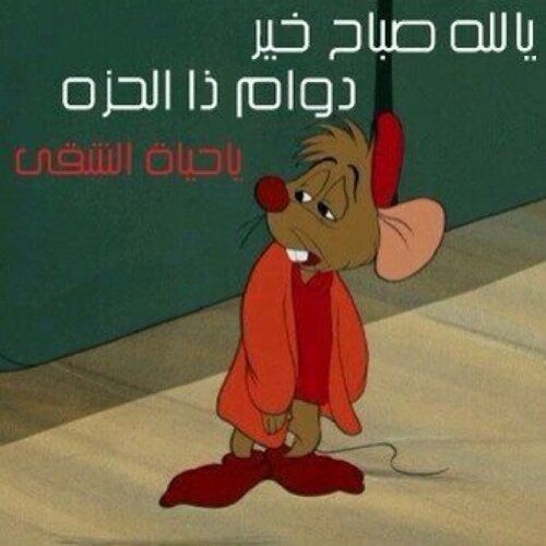 فتاة عامله ابحث عن الفراش لارقد