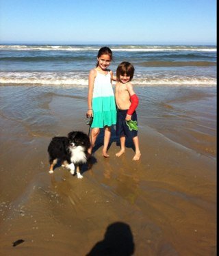 malzamora's profile picture. 