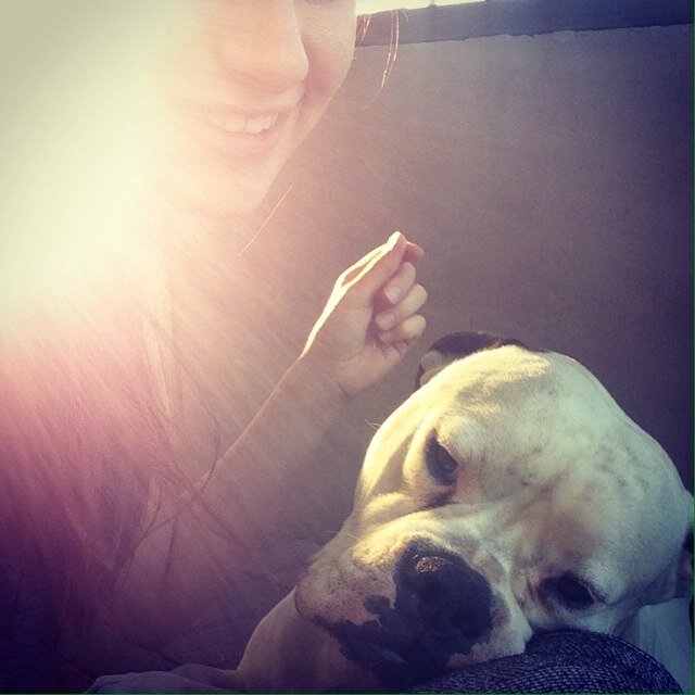 jesska_saba's profile picture. 22 years young
Taken by an amazing guy 
Bombers girl forever 
Love my american bully houdini 
Alice springs born and bred baby