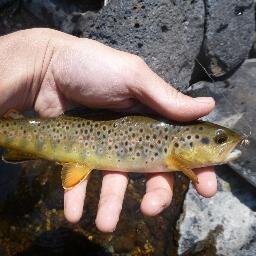 jeffreyachao's profile picture. Eating, Traveling, Fishing, Oil/Gas.