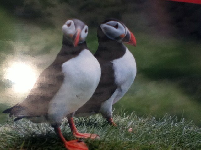 JesseMampaey's profile picture. Jesse_freerunnen_is_cool