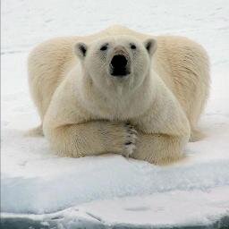 agenon's profile picture. 