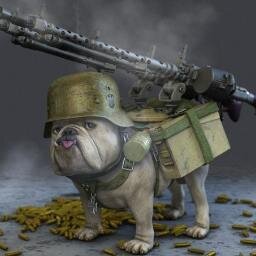 timss3's profile picture. 