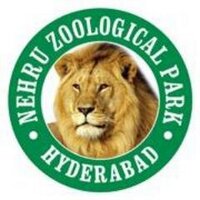 Hydzoo (@hydzoo) 's Twitter Profile