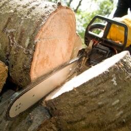 Cobb's Tree Trimming And Removal is the solution for your garden and your trees. / (260) 750-5900 / 	935 Georgian Dr,