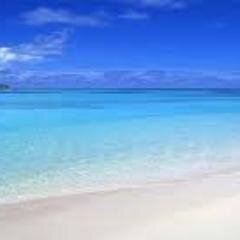 PrabhaPusapati's profile picture. 